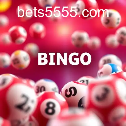 Bingo Games and the Rise of 5555.COM
